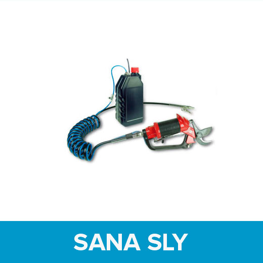 Lisam